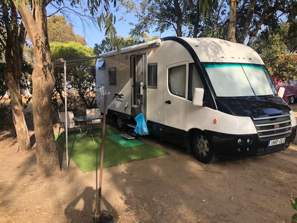 Laika - Ecovip h720 - Foto 1